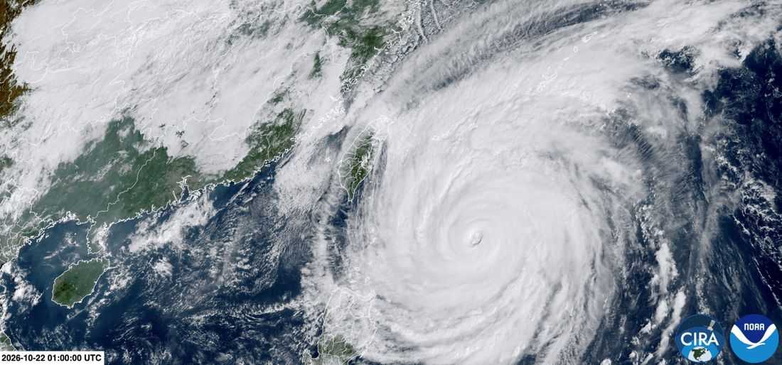 Taiwan shuts down ahead of Typhoon Champi, hundreds of flights cancelled