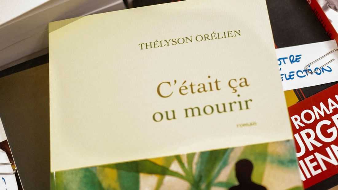 Canadian publisher says Thelyson Orelien used AI to write award-winning book, ends relationship