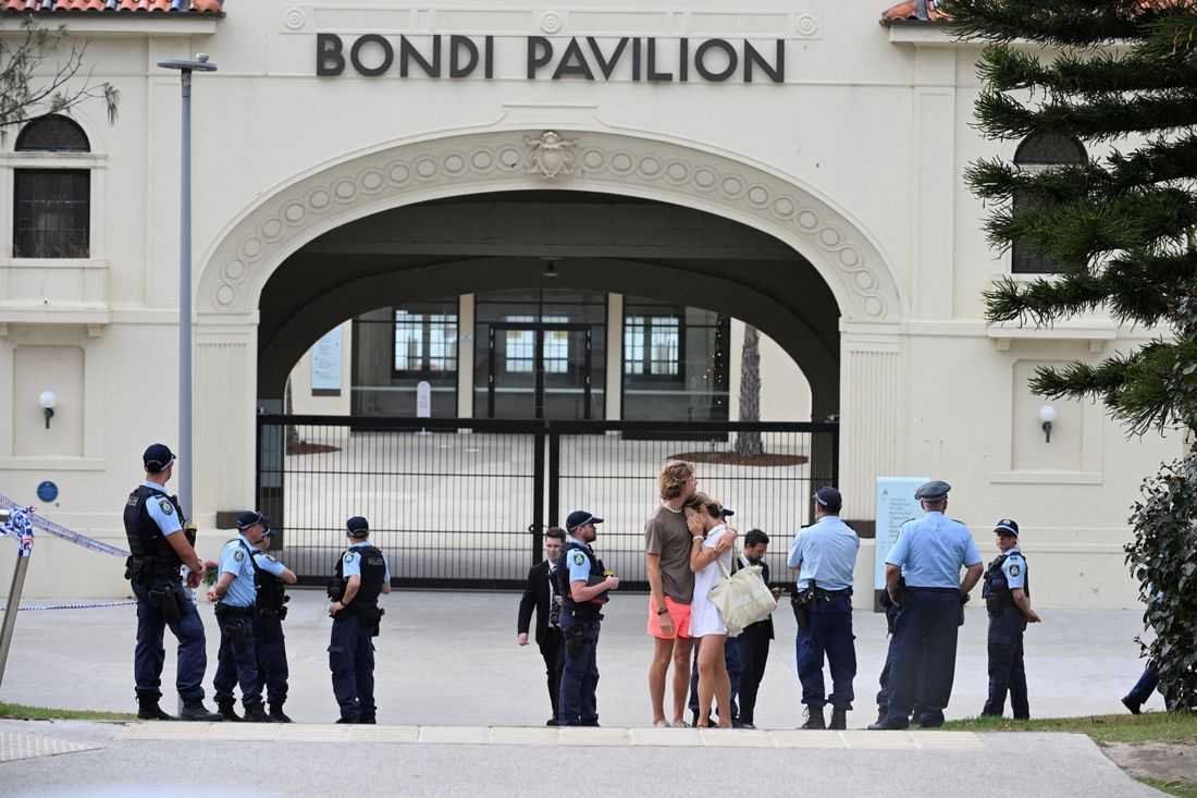 Alleged Bondi Beach gunman makes first court appearance