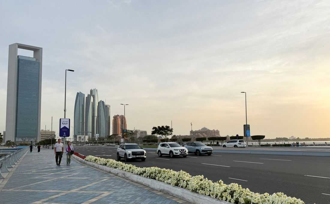 UAE foils cyber attacks, state news agency says