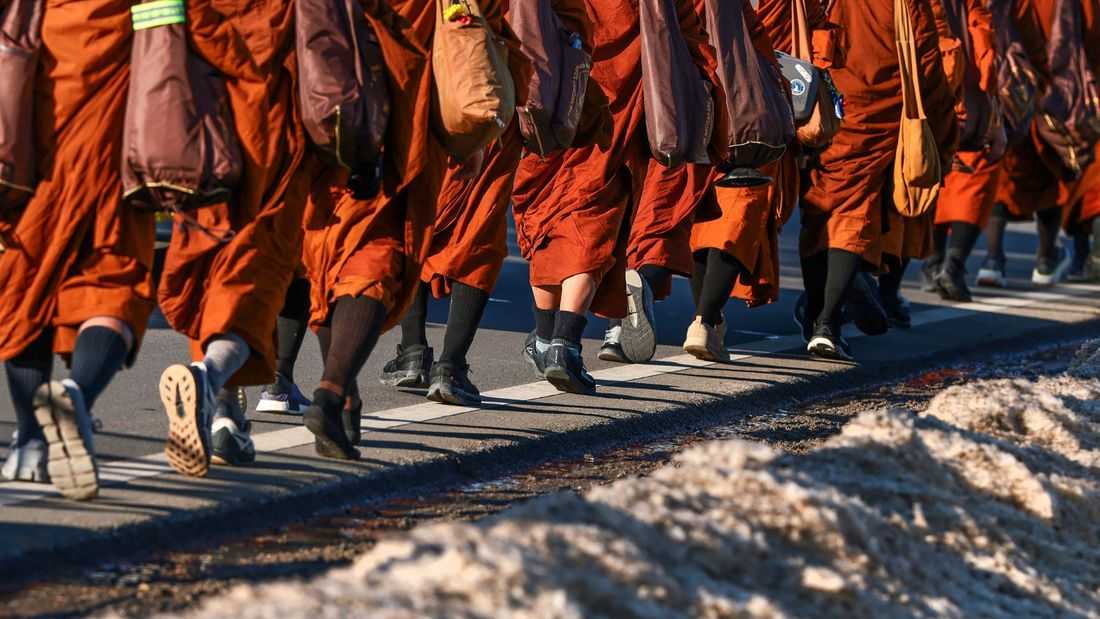 Walk for peace: Buddhist monks arrive in Washington after 2,300-mile journey