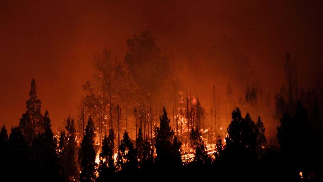 Record heat and raging fires ring in 2026 across the Southern Hemisphere