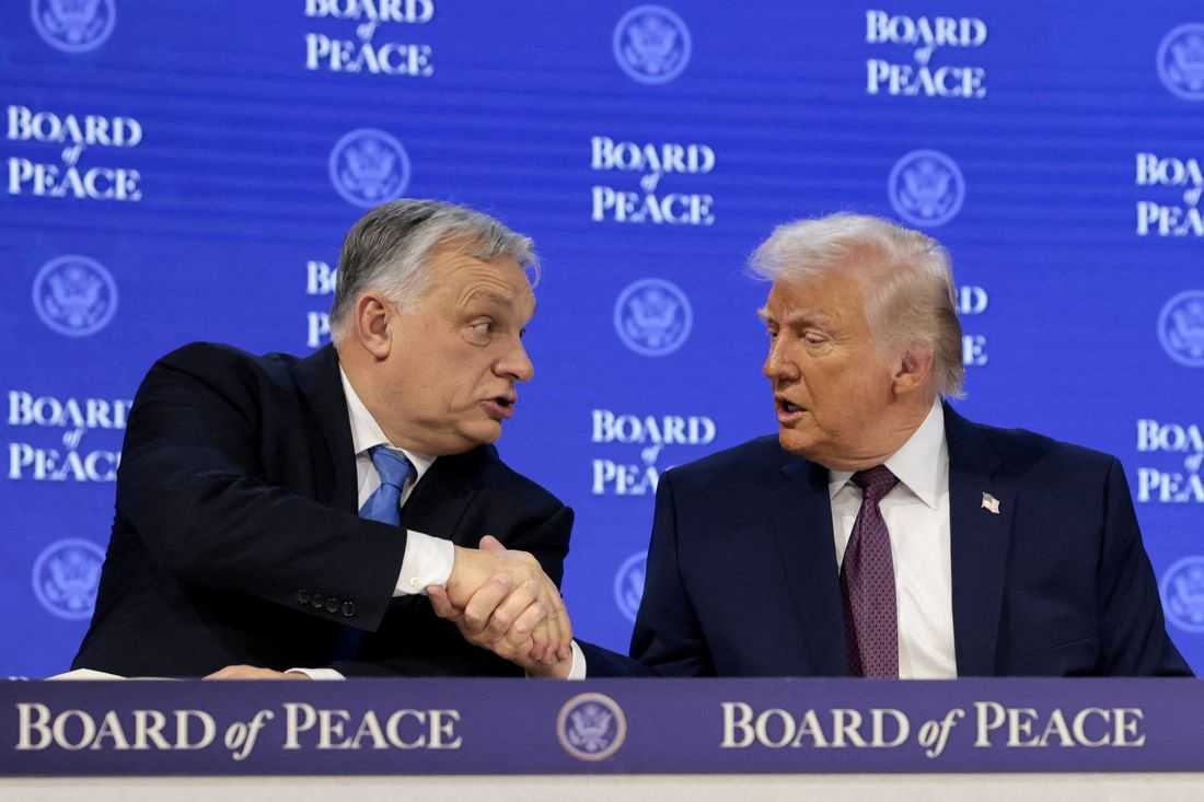 U.S. conservatives watch nervously as Orban faces tough test in Hungary vote