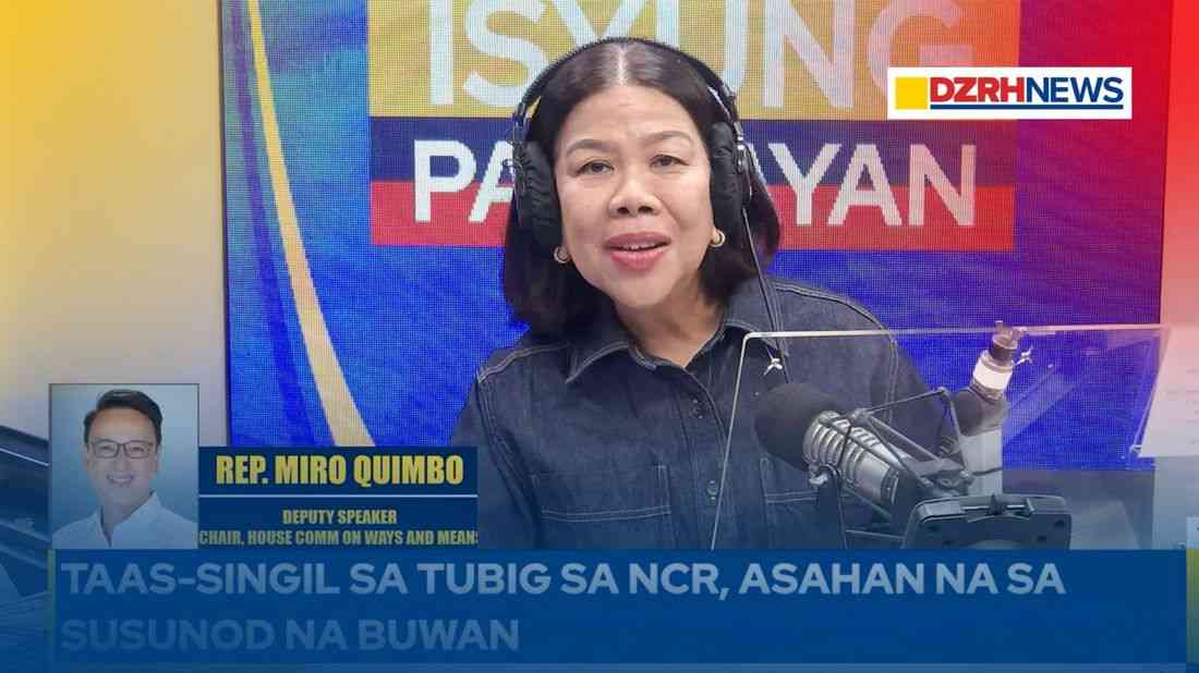 House set to approve emergency powers bill to suspend fuel excise tax - Rep. Quimbo