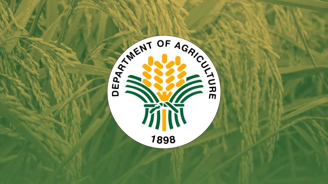 DA proposes to cap off premium rice imports at ₱50/kilo by end of April