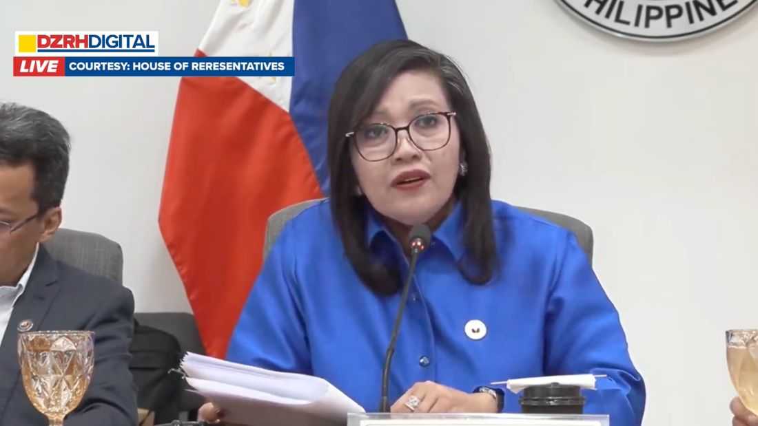 House Justice panel cites 4 petitions vs impeachment as VP Duterte hearing continues