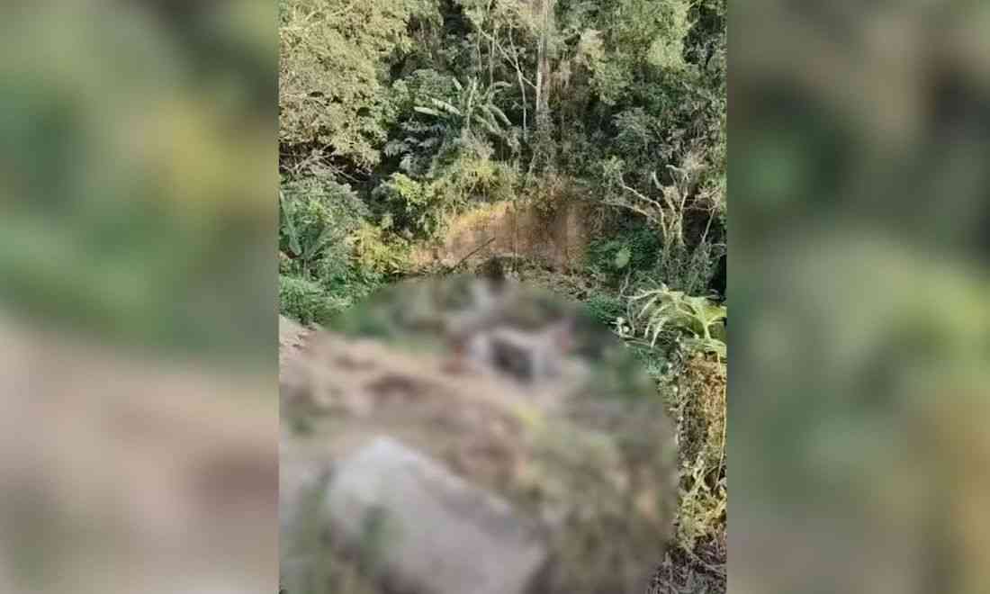 17 hurt as jeepney falls into ravine in Lubuagan, Kalinga