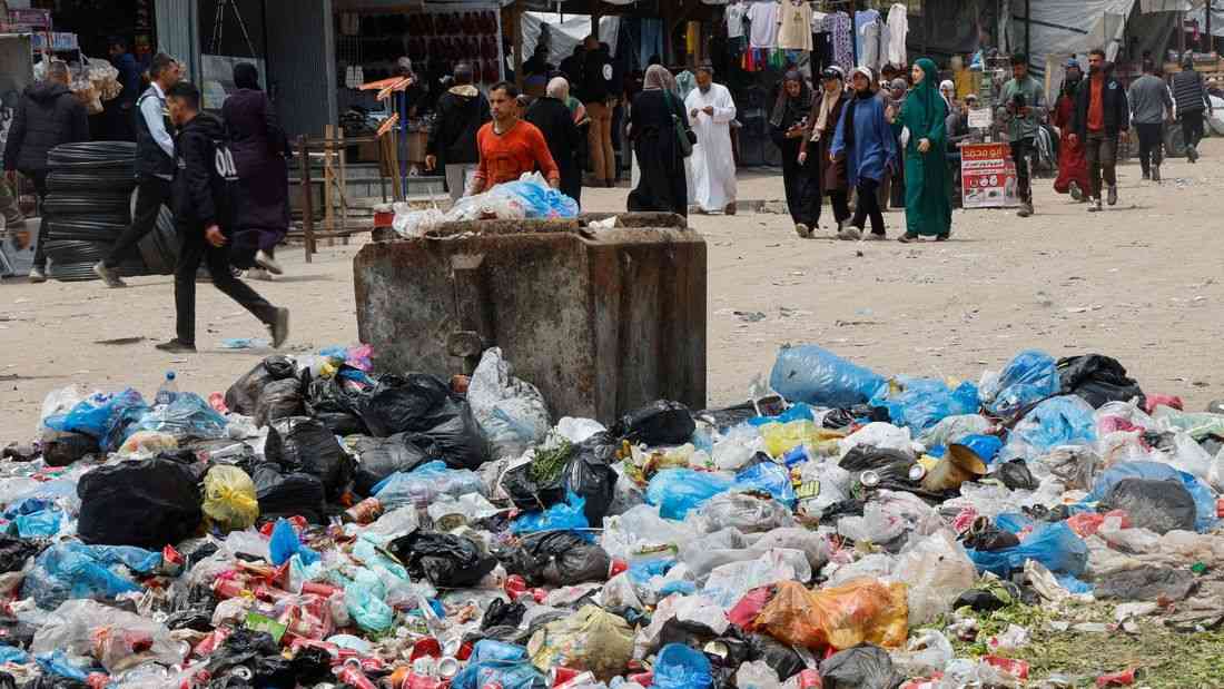 Rats infest Gaza's tent camps, biting children and spreading disease