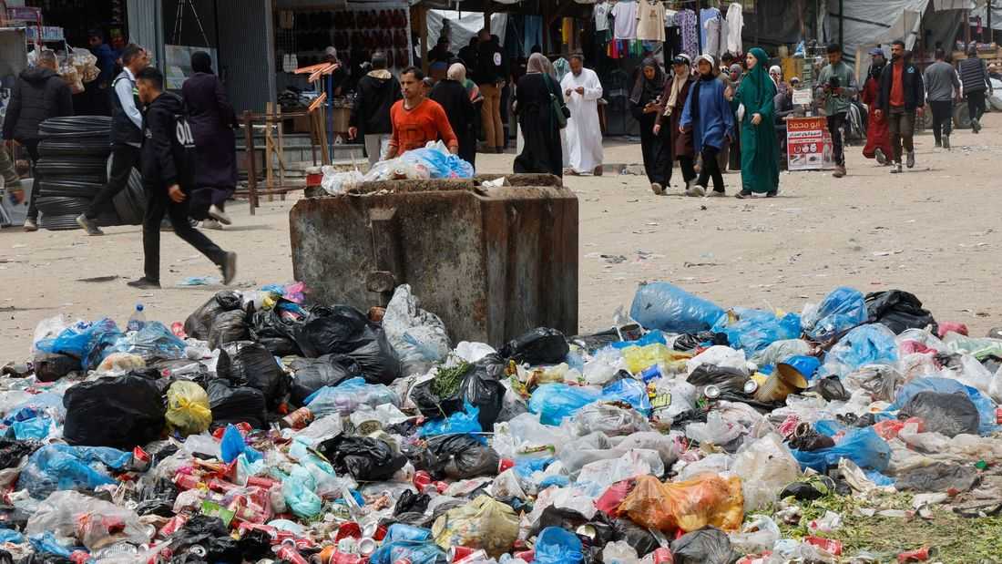 Rats infest Gaza's tent camps, biting children and spreading disease