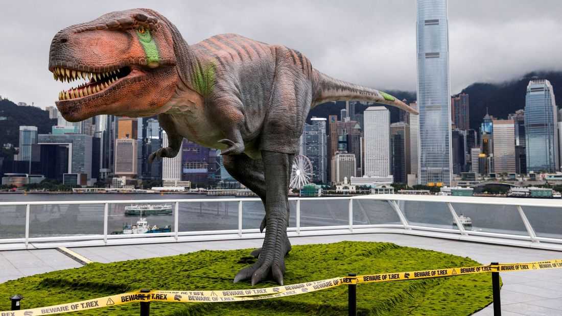 Here's how Tyrannosaurus ended up with a big head and small arms