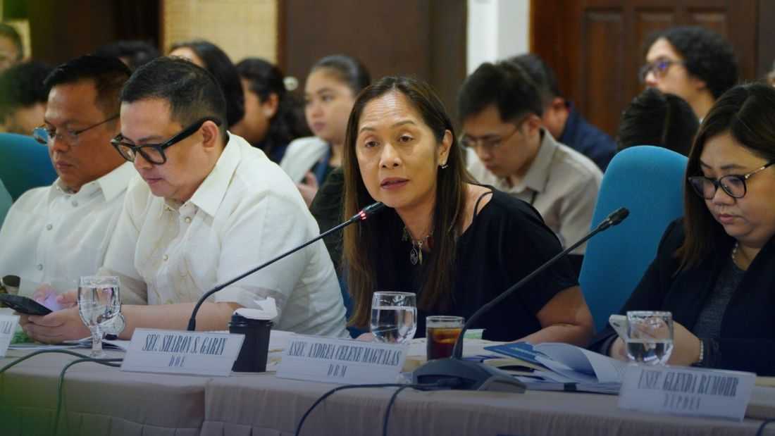 Fuel price cap policy under review as gov’t responds to oil sector concerns – DOE