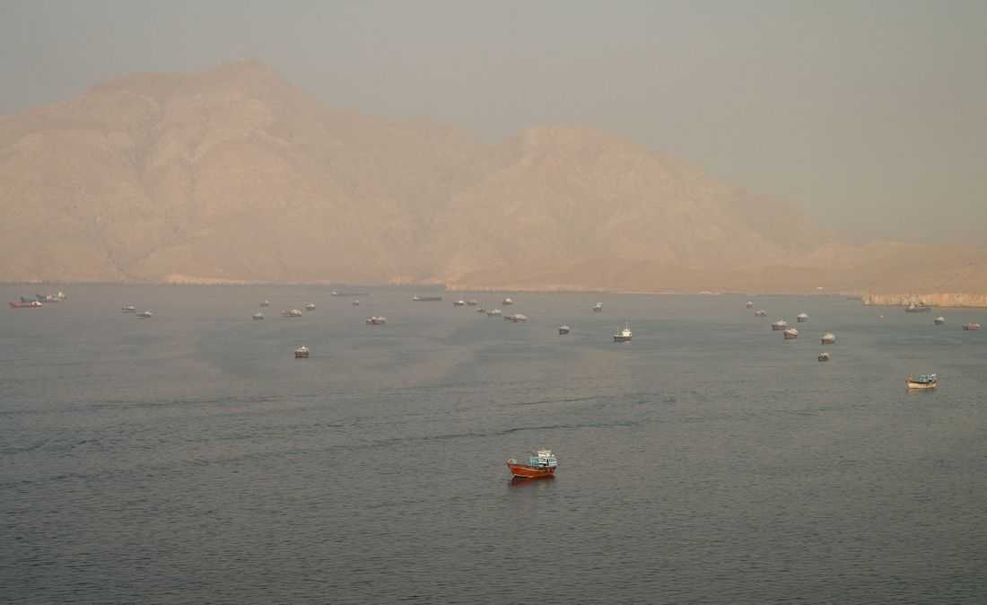 Japanese shippers await details on Hormuz reopening, mine clearance