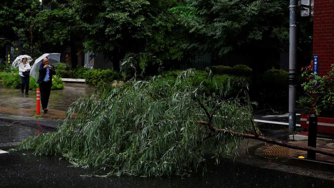 Tropical storm Jangmi batters Japan, cuts power to 60,000 homes