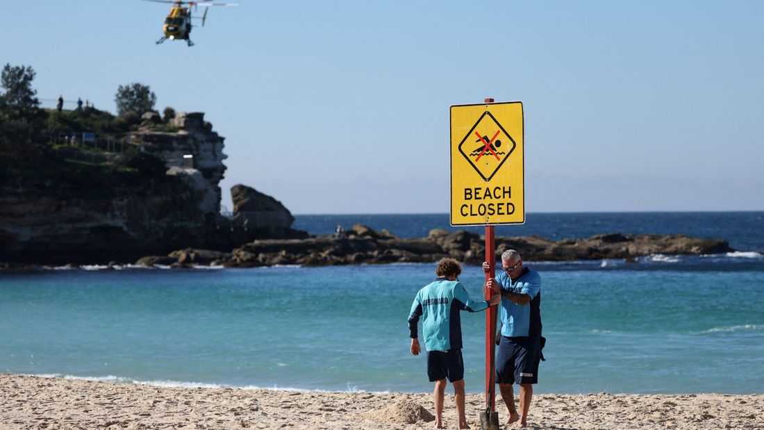Sydney reopens beach under heavy patrols after shark attack