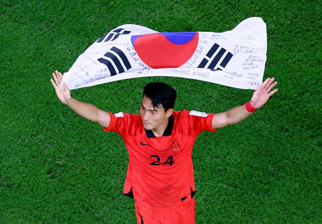 Soccer-South Korea defender Cho ruled out of World Cup