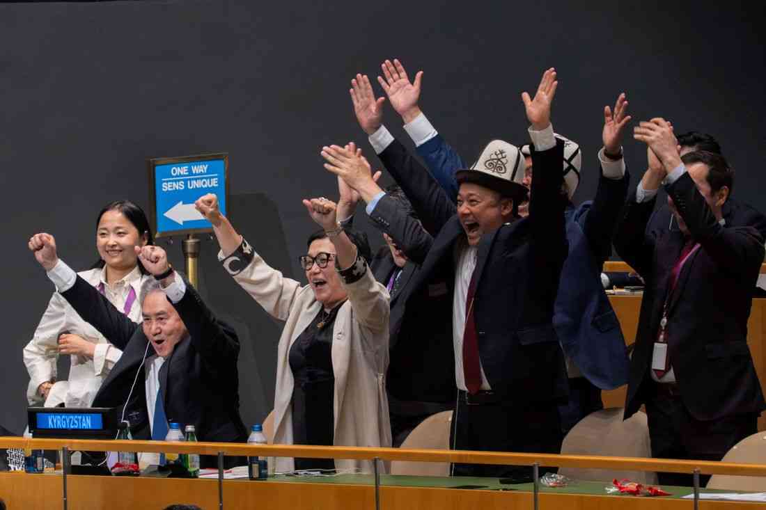 Five countries elected to UN Security Council; Germany misses out