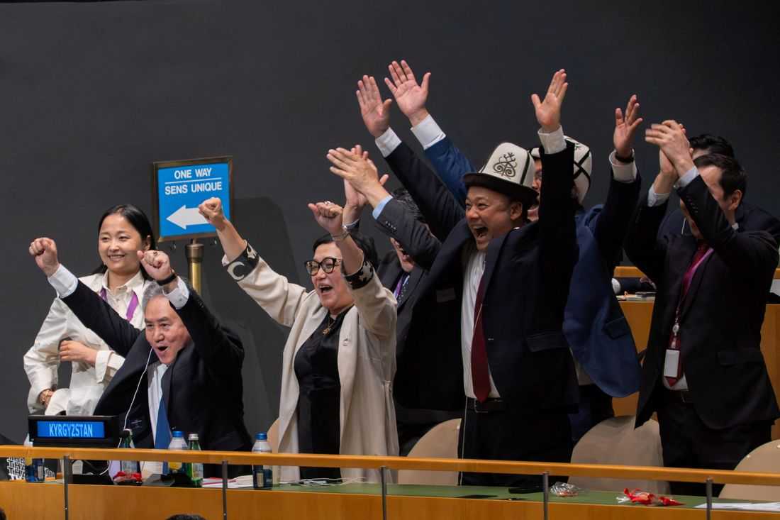 Five countries elected to UN Security Council; Germany misses out