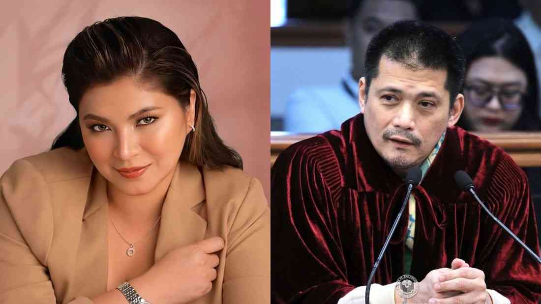 Angel Locsin calls on Robin Padilla to 'wake up' in open letter