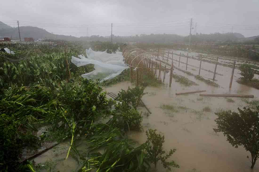 Typhoon Bavi batters east China, Taiwan reports 134 injured