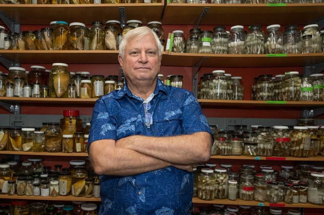 3 suspects arrested in killing of US marine biologist Kent Carpenter — PNP