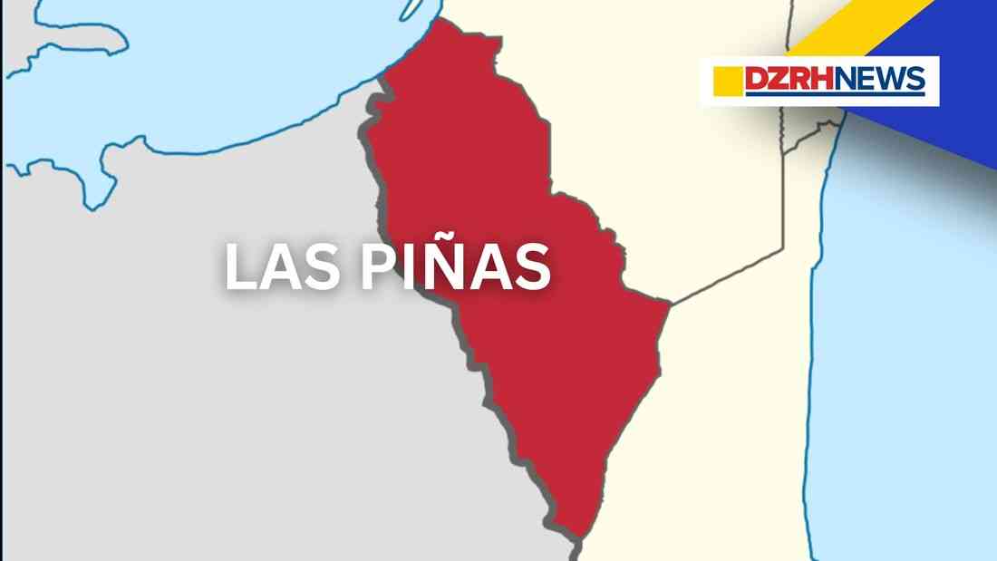 Grade 8 student injured in stabbing incident outside Las Piñas school; four minors arrested