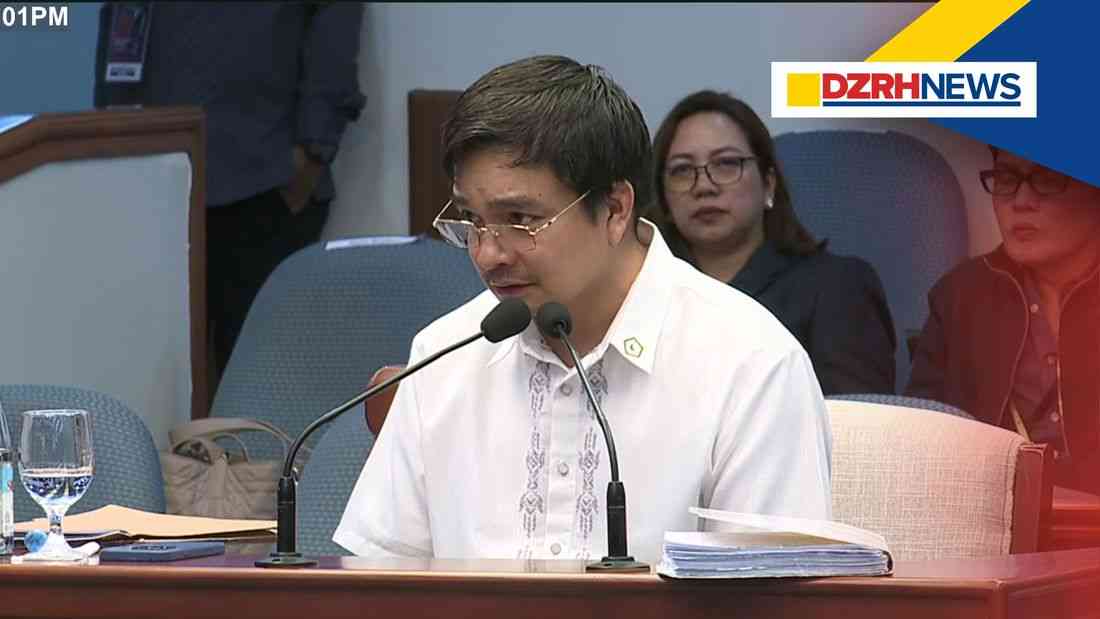 NBI witness says Mayor Baste Duterte first mentioned ‘romanov’ term in probe
