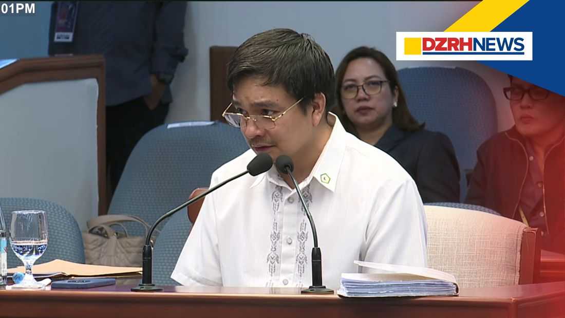 NBI witness says Mayor Baste Duterte first mentioned ‘romanov’ term in probe