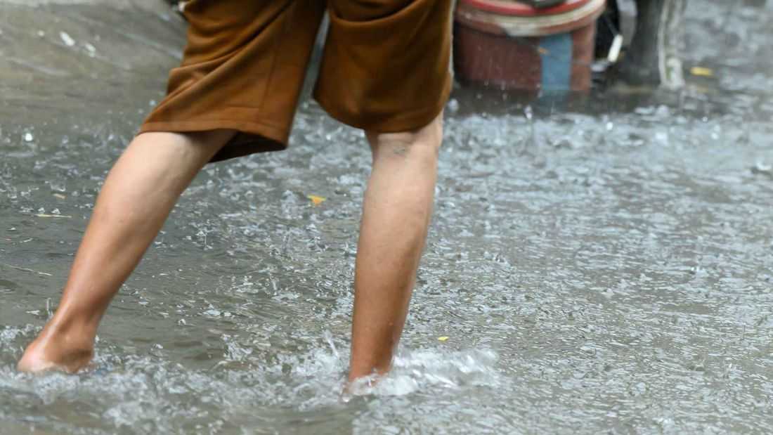 Manila logs 54 new leptospirosis cases, 2 more deaths