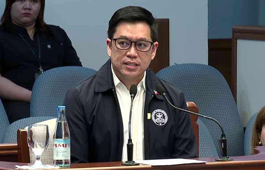 OVP had no specific national security, peace and order programs when it requested CF in August 2022 — Ortonio