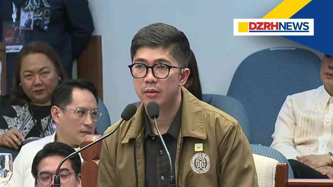 COA witness says OVP confidential fund report contained ‘violation’ of joint circular rules