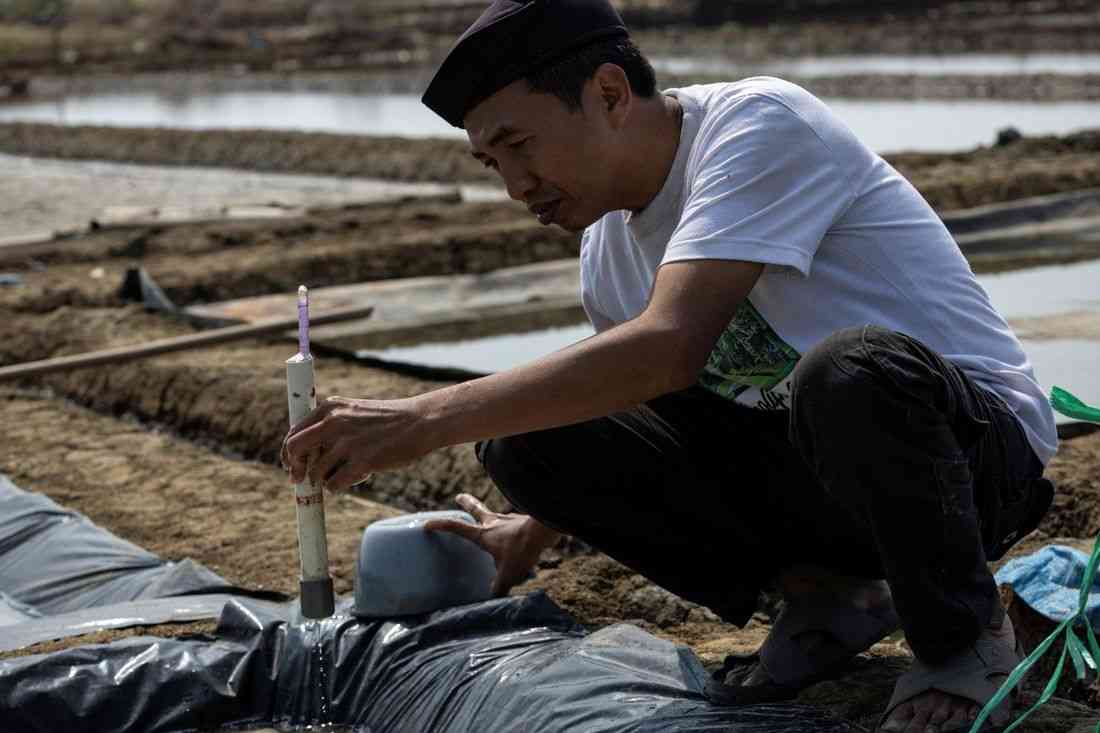 Indonesia’s salt fields bloom under drought from El Niño’s baking heat