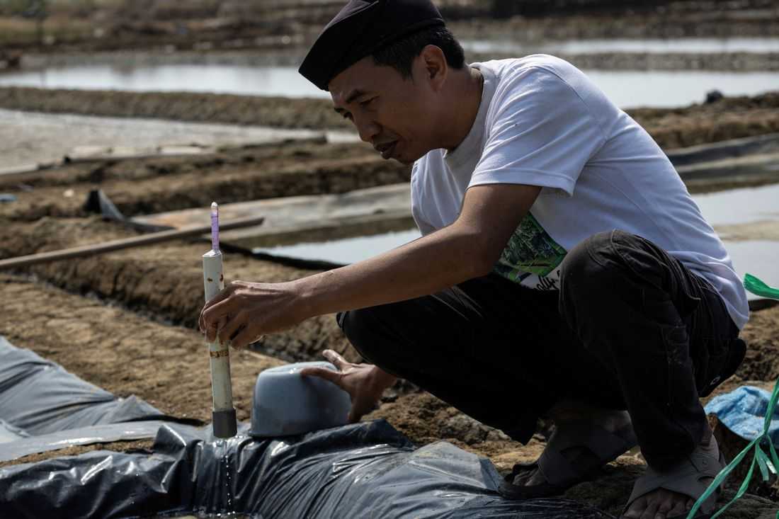Indonesia’s salt fields bloom under drought from El Niño’s baking heat