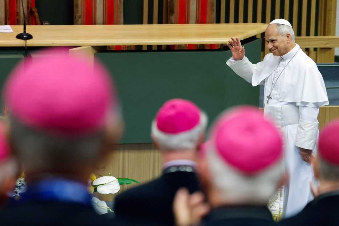 Pope Leo pledges action on clergy abuse after meeting French survivors