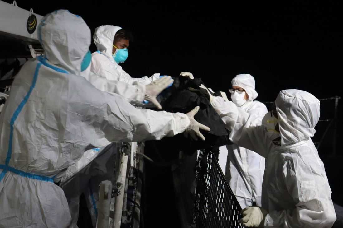 41 more bodies recovered from MV June Aster, death toll rises to 76