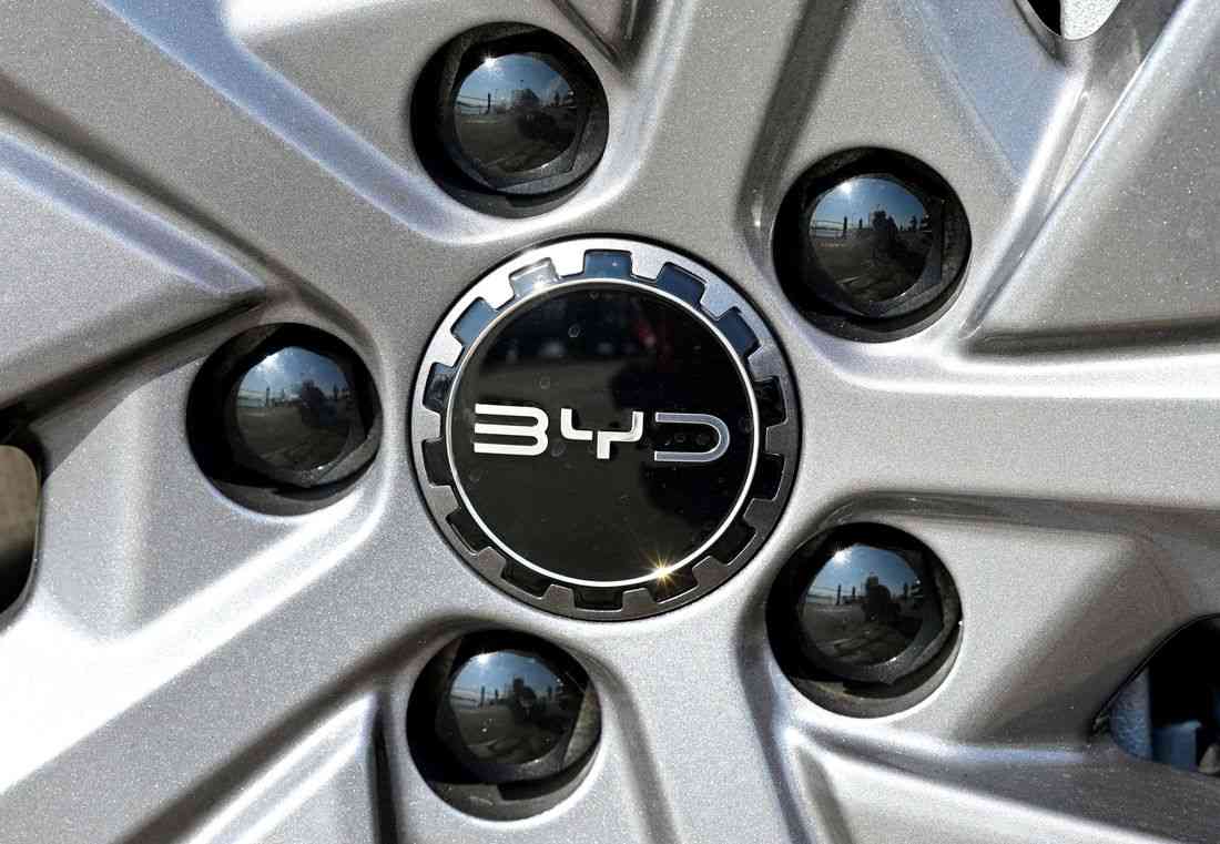 BYD will eventually need three assembly plants, one battery factory in Europe, adviser says