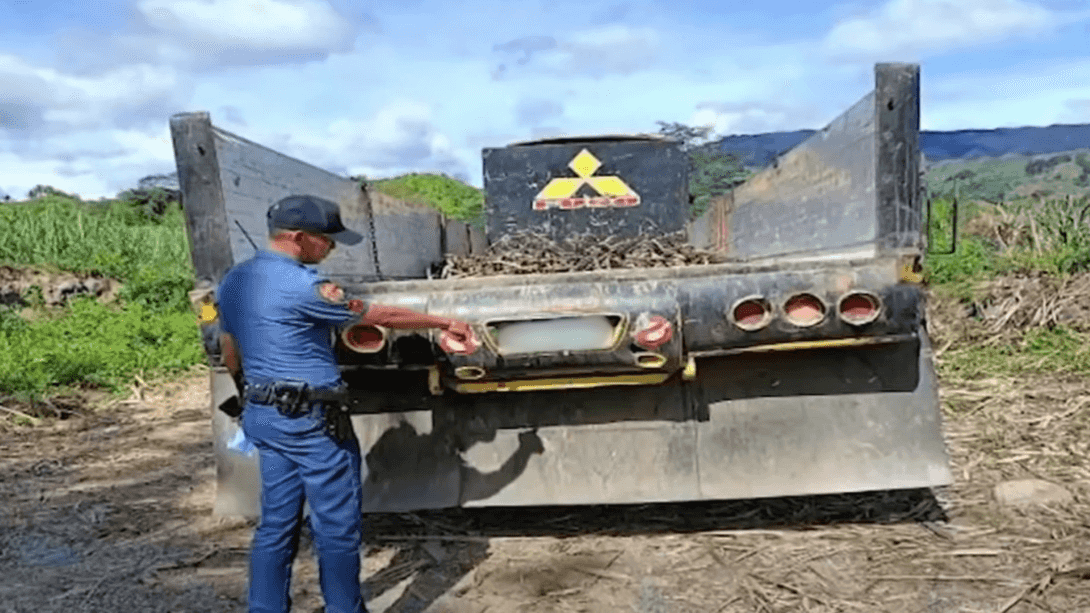 3 schoolchildren killed after truck crash in Bukidnon