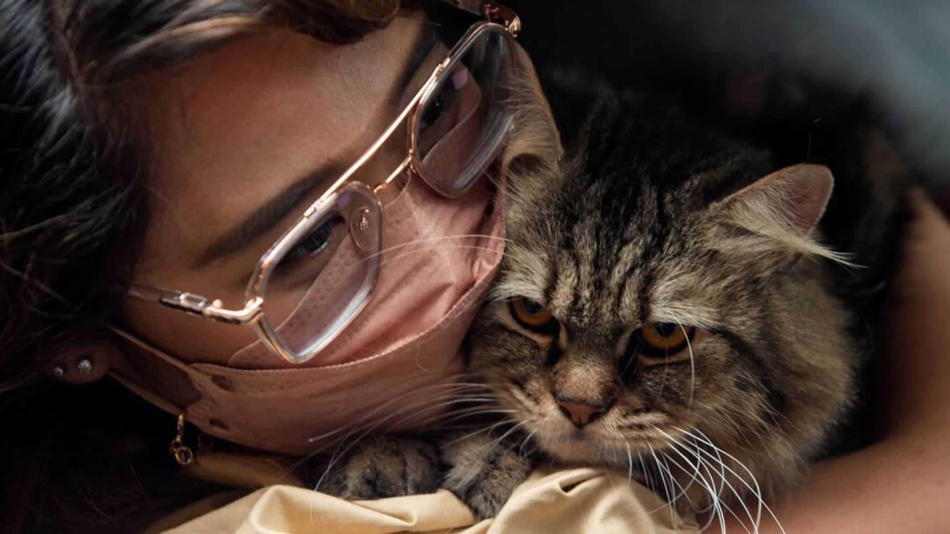 A pet safety guide for New Year celebrations