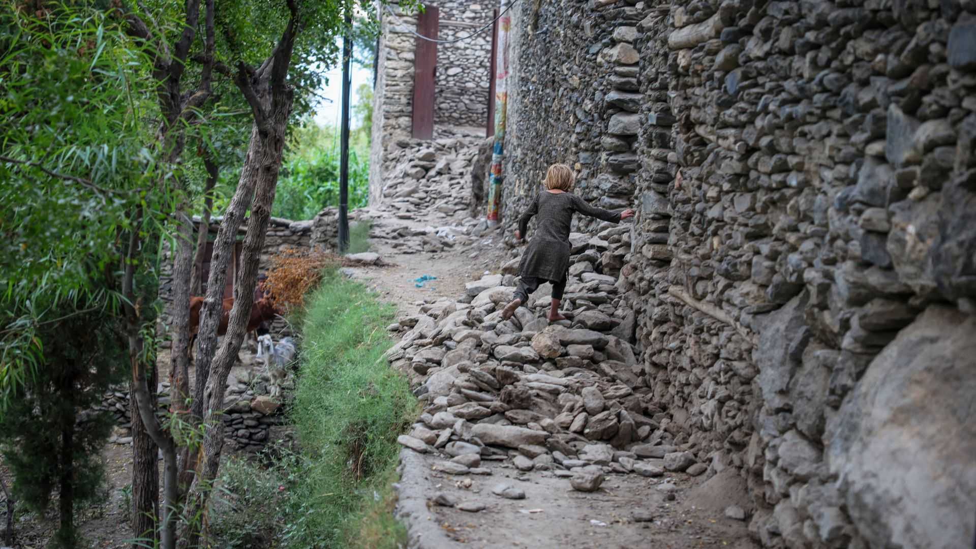 Afghan earthquake death toll crosses 1,400, authorities say