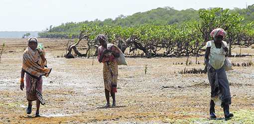 After missing school due to extreme heat, African children push for climate action