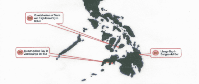 BFAR: Red tide toxin detected in 3 coastal areas