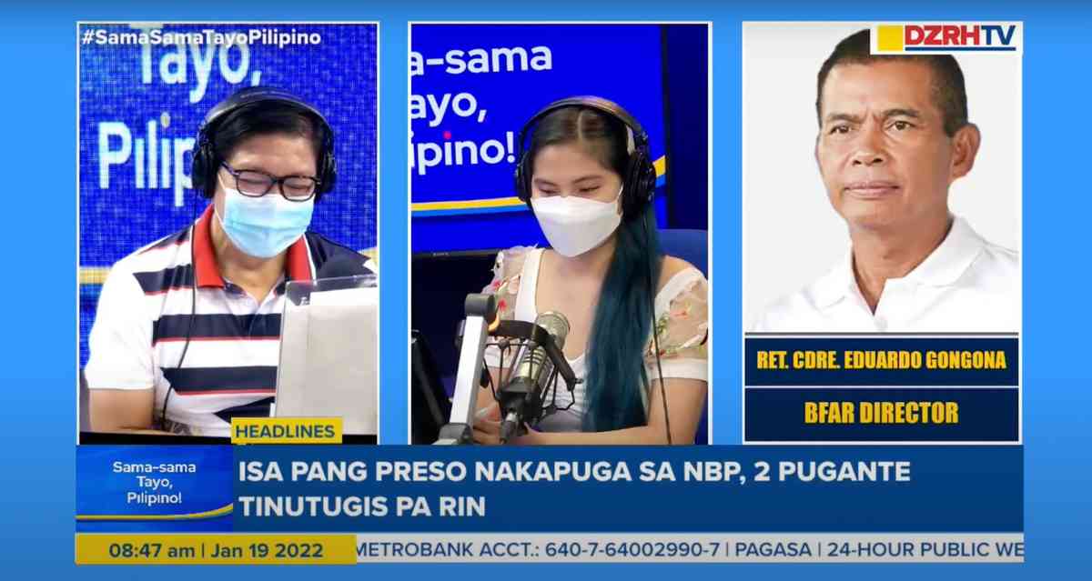 BFAR assures import of 60k metric tons of fish won't affect local production