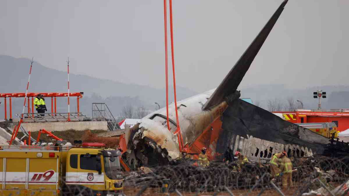 Bird feathers, blood found in both engines of crashed jet in South Korea, source says
