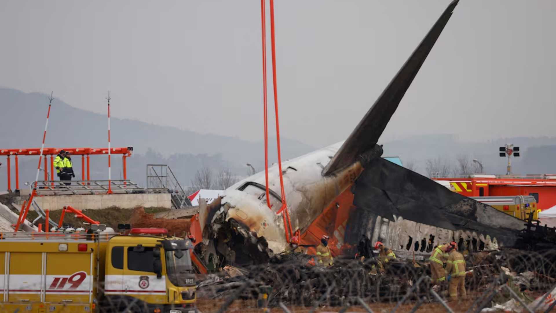 Bird feathers, blood found in both engines of crashed jet in South Korea, source says