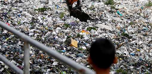 Cambodia environmental group slams 'politically motivated' trial
