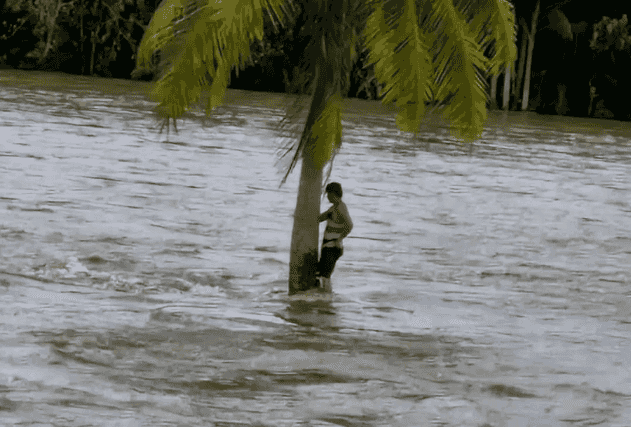 CamSur man clings onto coconut tree amid floodwaters