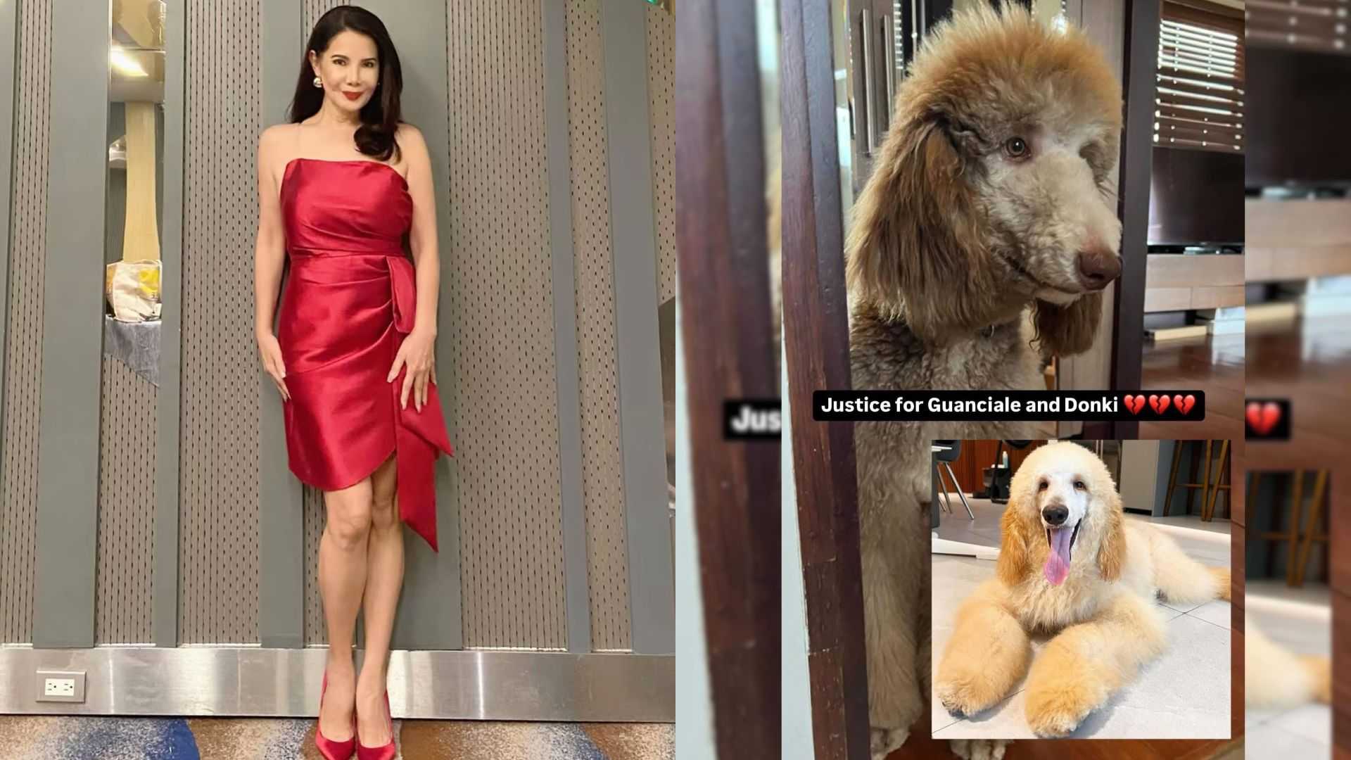 Carmi Martin seeks justice for dogs who died in a training facility: ‘Let’s speak up for those who can’t’