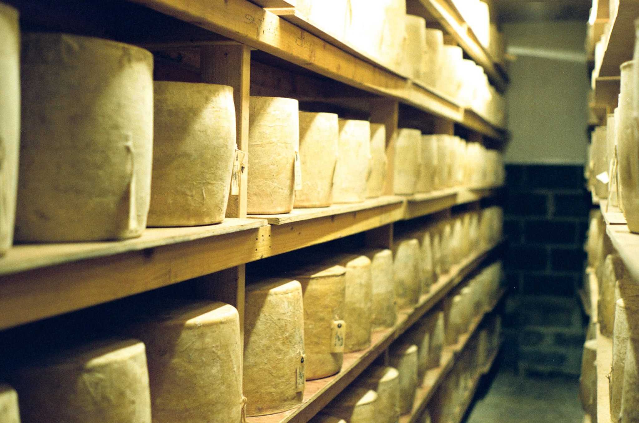 Cheese thieves scam $390K worth of cheddar off retailer