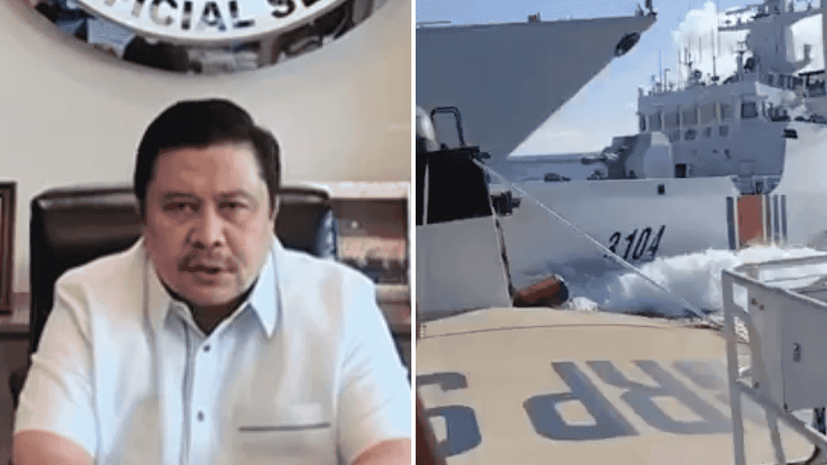 China ‘reaping what they sowed’ after CCG vessel, PLA ship collide — solon