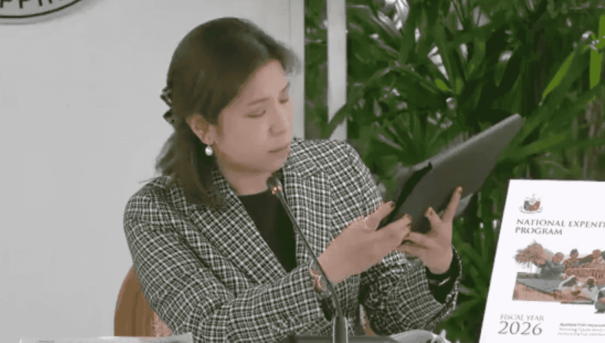 Confidential and Intelligence funds in 2026 NEP lower by 11%