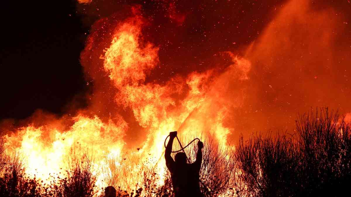 'Cooked alive': Europe's wildfires hit tourism spots and forests